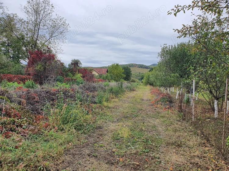 Teren de 1200 mp, în Goranu