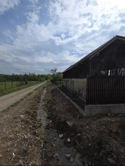 Teren de 5436 mp, în Celei