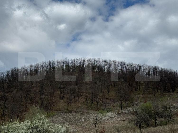 Vand 2 hectare de pădure de Stejar, Carmazanesti - 3