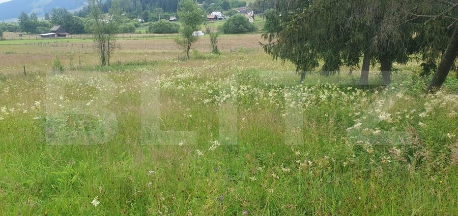 Teren Construcții intravilan de 7671 mp, în Vatra Dornei