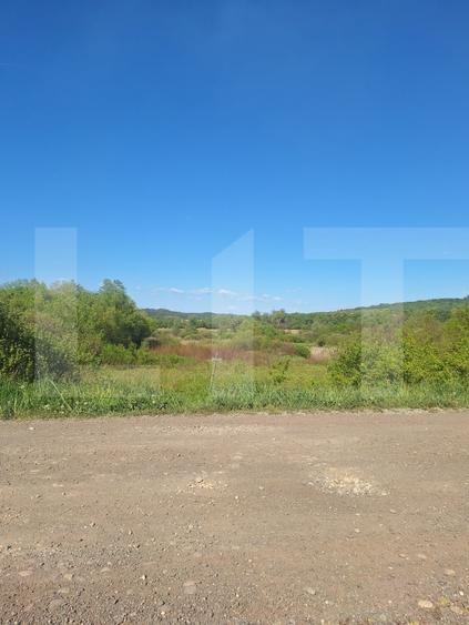 Teren Construcții intravilan de 1600 mp, în Făget