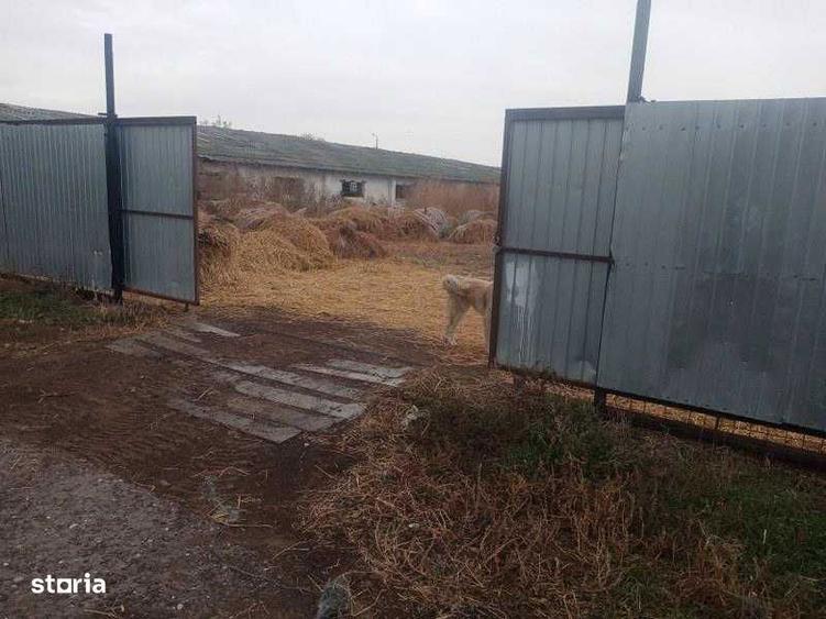 Vand teren intravilan cu Spatii agrozootehnice - 4