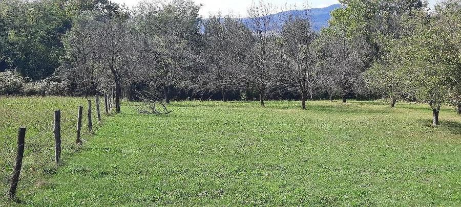 Teren de 1800 mp, în Breaza de Sus