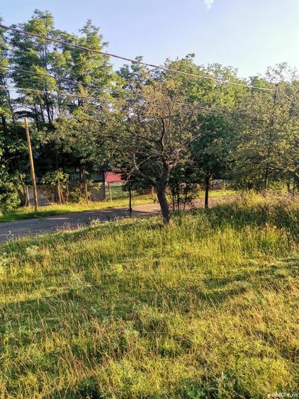 Teren de 2700 mp, în Dobreni