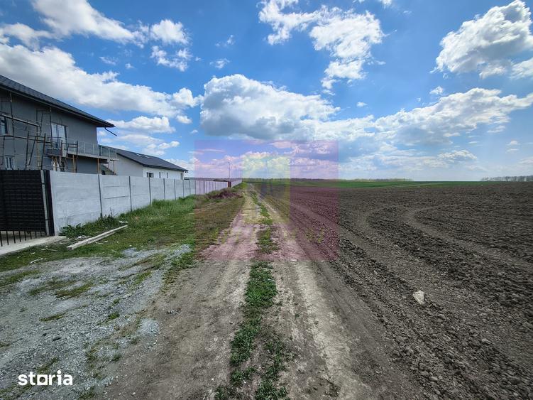 Teren de 3000 mp, în Cernica