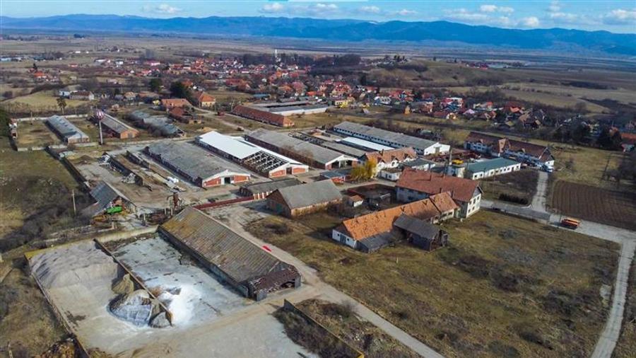 Teren Construcții intravilan de 25391 mp, în Boroșneu Mare