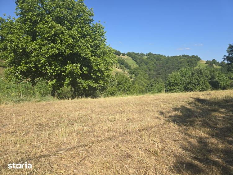 Teren de 150000 mp, în Cerbăl
