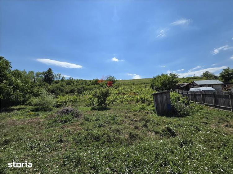 Teren de 4800 mp, în Tomești