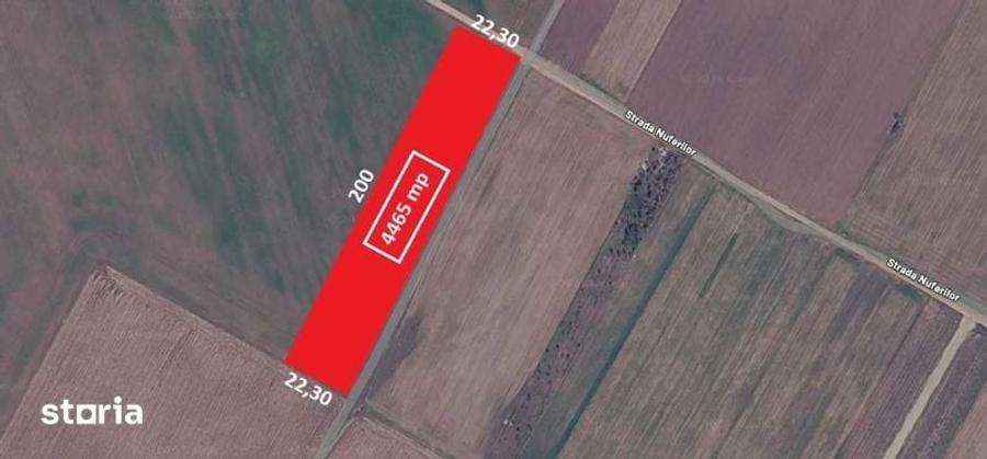 Teren 4465 mp Str. Nuferilor, Vidra - Berceni, Ilfov - 3