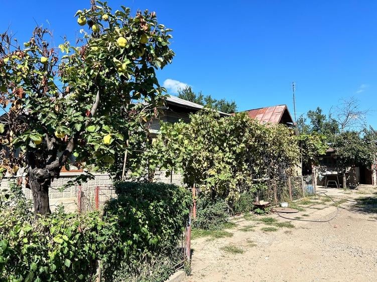 casa aproape de oras teren 1100mp - 5