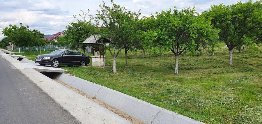 Teren de 5000 mp, în Nicolae Bălcescu