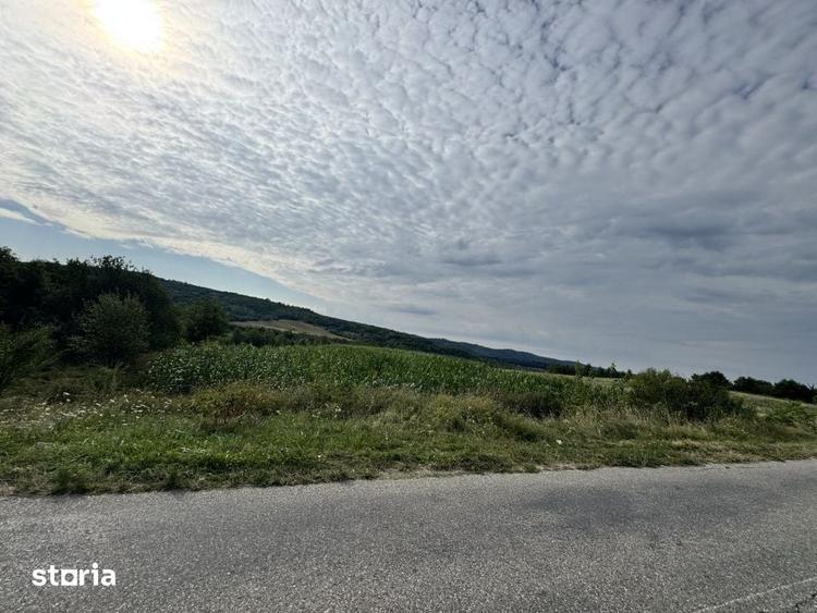 Teren de 15000 mp, în Mihăești