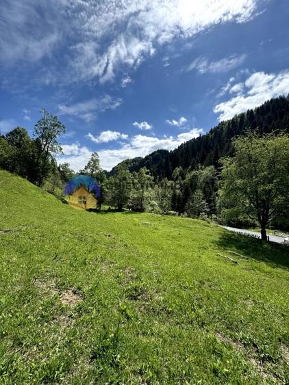 Teren intravilan de 11557 mp, în Ceahlău