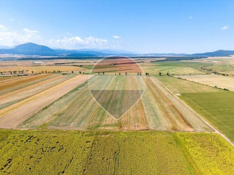 Teren agricol extravilan de 20000 mp, în Hălchiu