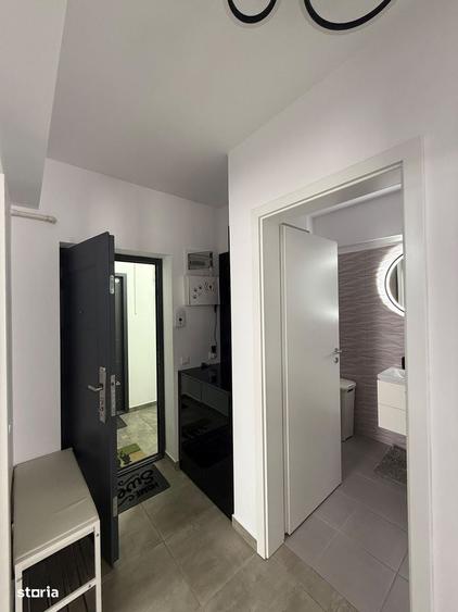 Apartament 2 camere decomandat prima inchiriere | 480 /luna - 11