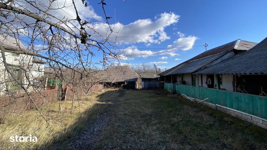 Casă cu 3 camere cu Teren 4145 Mp în Vedea