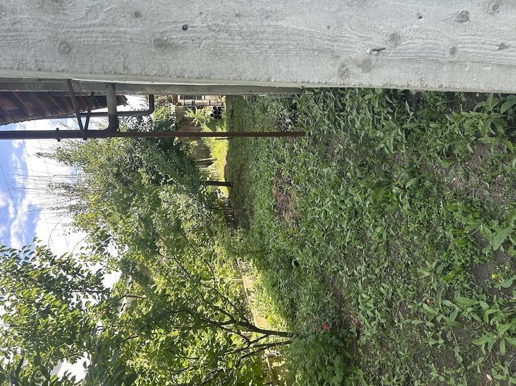 Casă cu 3 camere cu Teren 200 Mp în Central