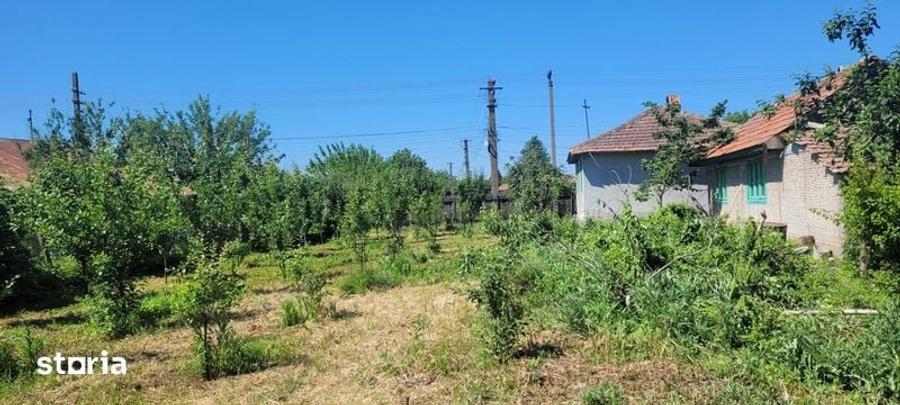 Casă cu 4 camere cu Teren 1600 Mp în Colceag