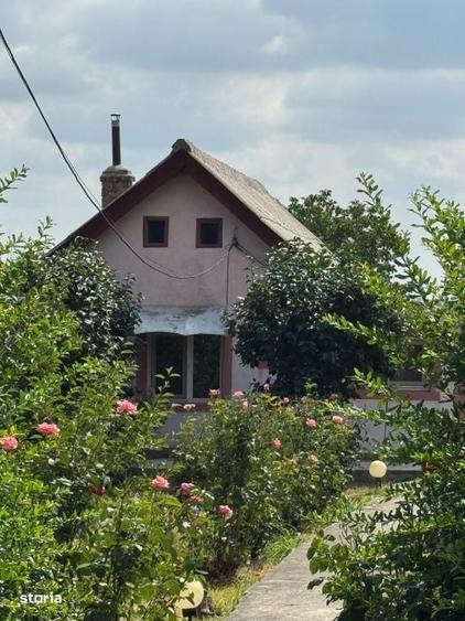 Casă cu 3 camere în Obedin
