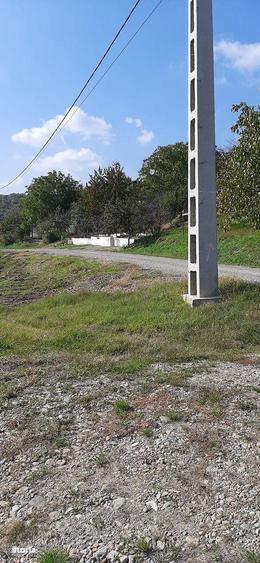 Parcele teren, Podgoria, 1200 mp - 2