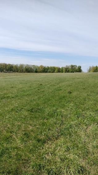 Teren Construcții extravilan de 7200 mp, în Grajduri