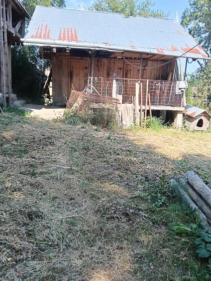 Casă cu Teren 11000 Mp în Valea Poienei