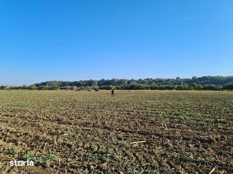 Teren de 1500 mp, în Domnești
