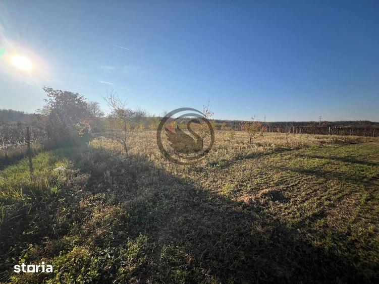Teren de 12650 mp, în I. L. Caragiale