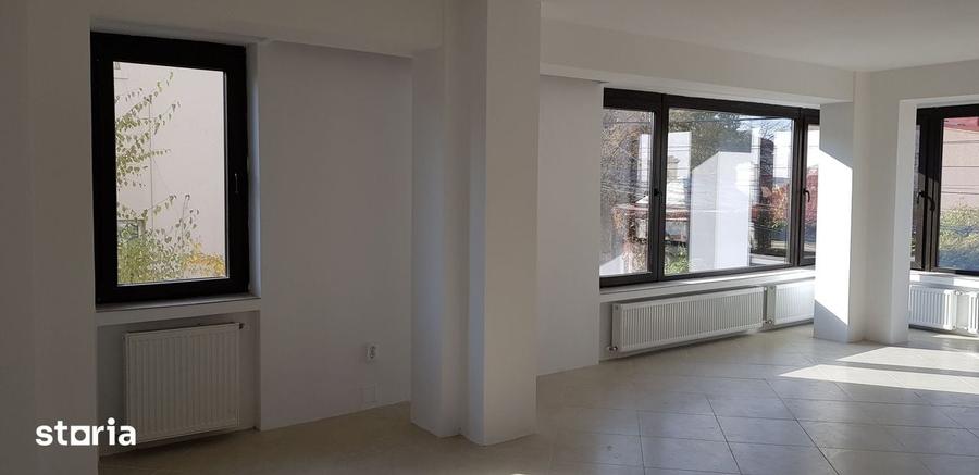 Spațiu comercial, de 56 mp, în Pache Protopopescu