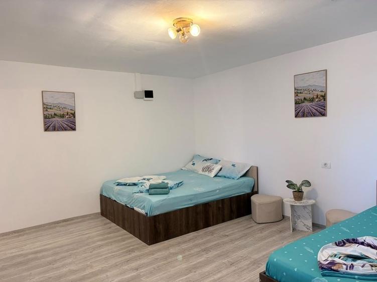 Apartament decomandat în Central