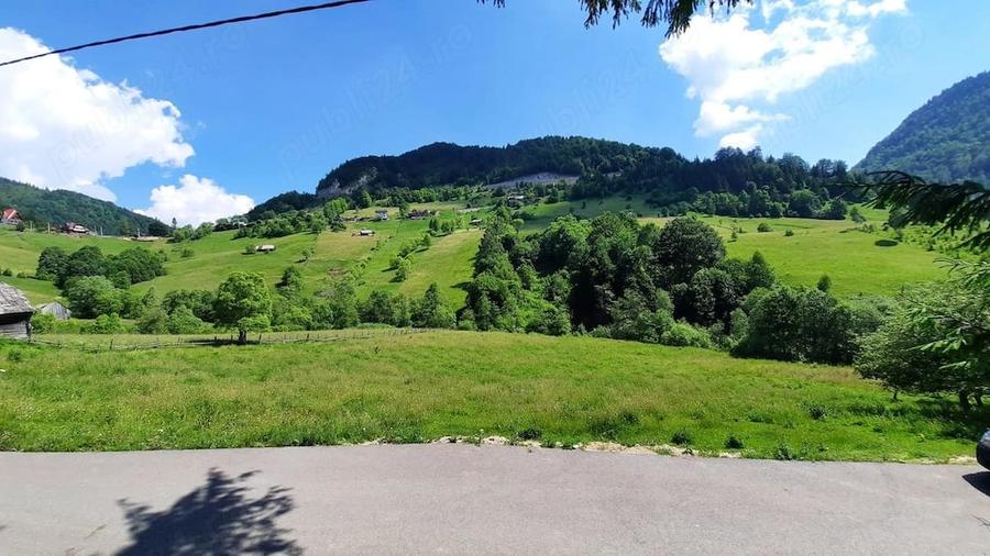 Teren de 4000 mp, în Dâmbovicioara