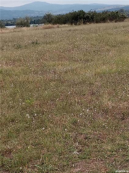 Teren de 2200 mp, în Moldova Veche