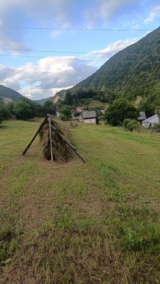 Teren intravilan cu casa veche si anexa de vanzare - 6