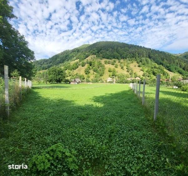 Teren de 1600 mp, în Râu Sadului