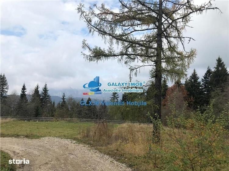 Spațiu comercial, în Predeal
