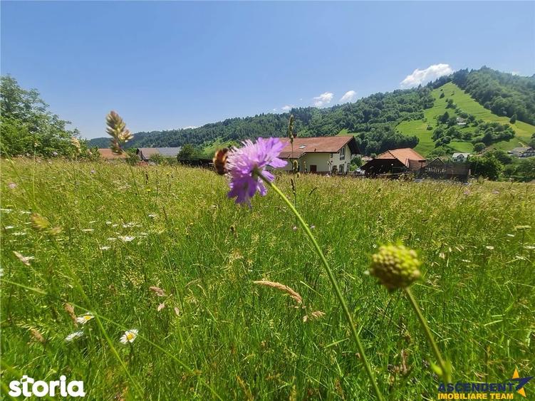 Teren de 2327 mp, în Moieciu