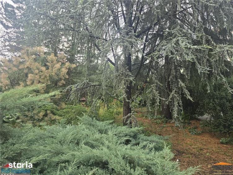 Casă cu 8 camere cu Teren 1150 Mp în Elisabetin