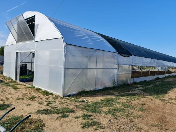 Teren Construcții intravilan de 3200 mp, în Buturugeni