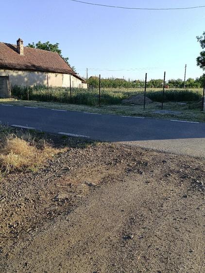 Case de vinzare - 3