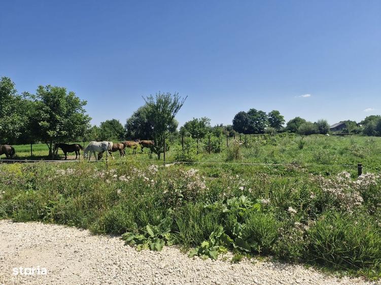 Teren intravilan de vanzare in Stupini - 2