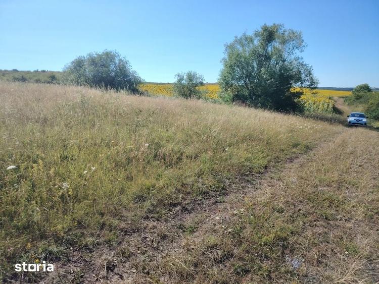 Investitie in natura 2.900 mp la 16 euro/mp in Macicasu/Chinteni - 2