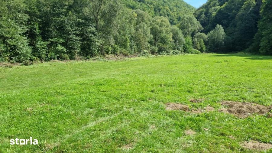 Teren intravilan, cf, zona Valea Ierii - 3