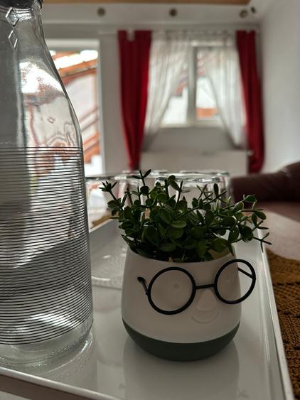 Apartament cu 3 camere decomandat, mobilat în Schei