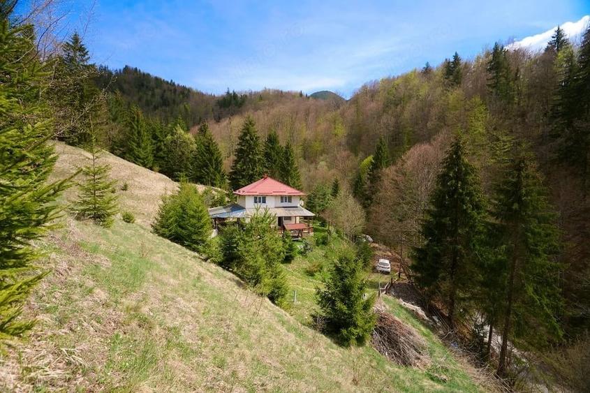 Casă cu 5 camere cu Teren 6412 Mp în Dâmbovicioara