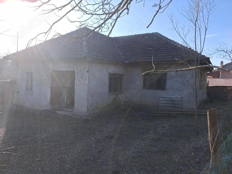 Casă cu 3 camere cu Teren 1400 Mp în Vintere