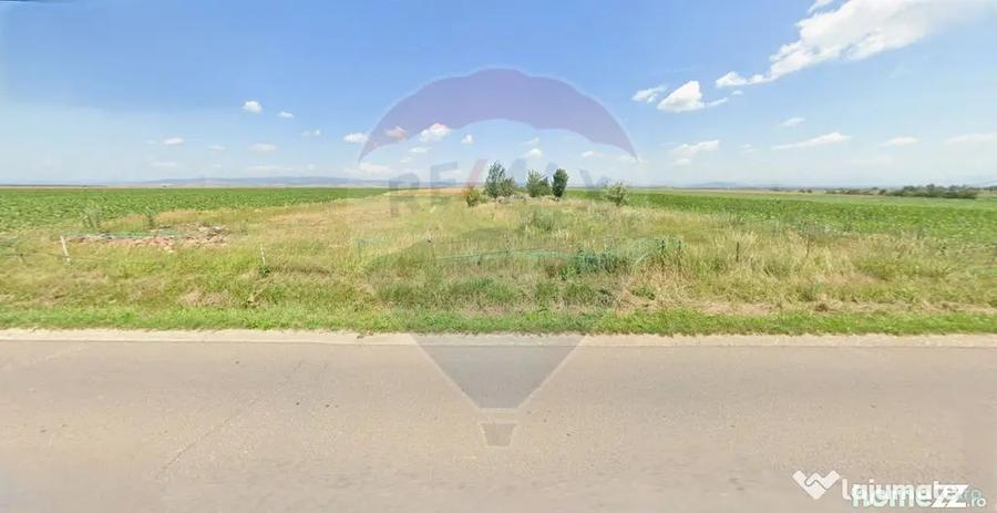 Teren de 9750 mp, în Hălchiu