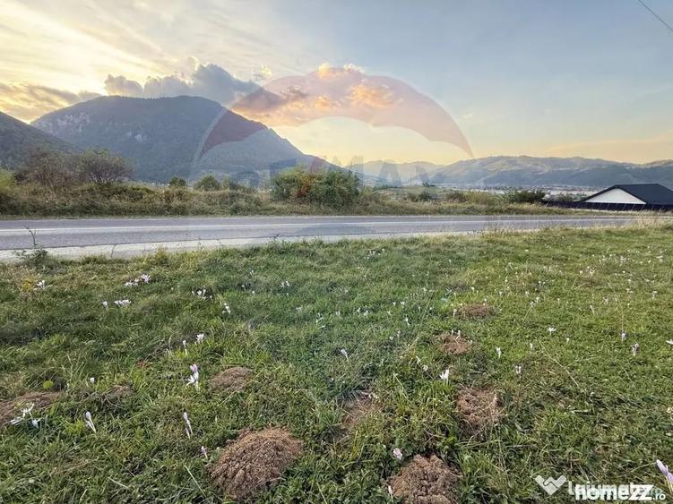 Teren în Tohănița