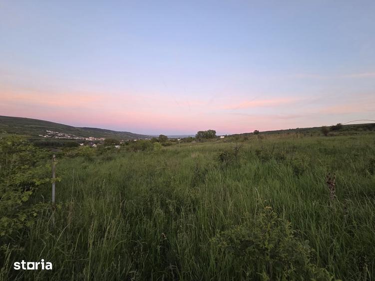 Teren zona Chinteni, ideal pentru investie - 5