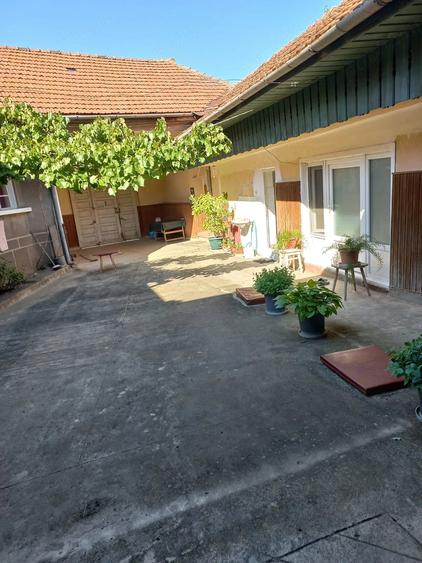 Casă cu 6 camere cu Teren 730 Mp în Lăpușnicu Mare