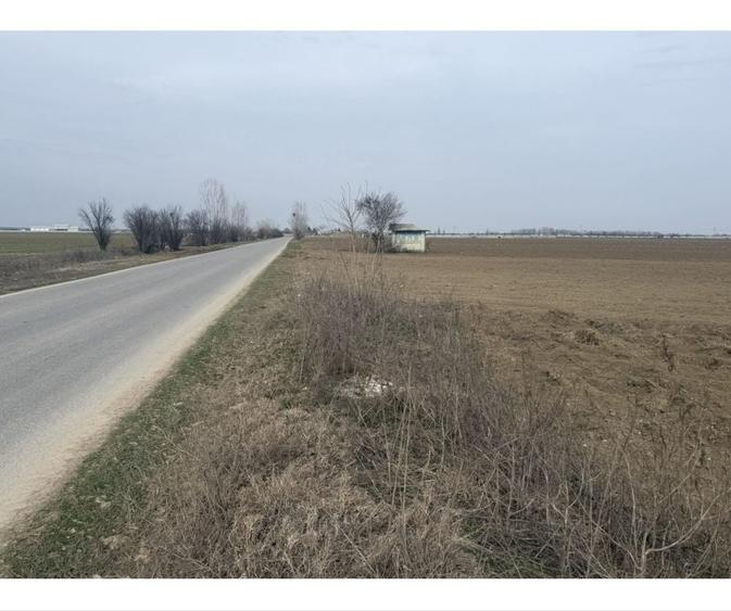 Teren 25 km de Bucuresti - 1